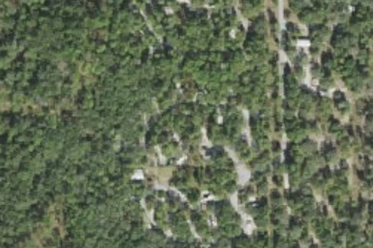 Aerial view of Silver Springs State Park