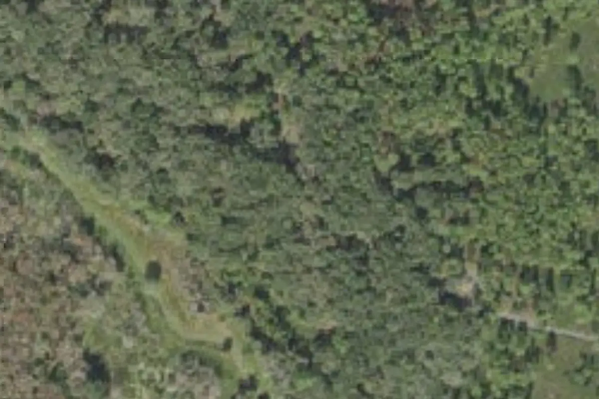 Aerial view of Sunnyhill Restoration Area campsites