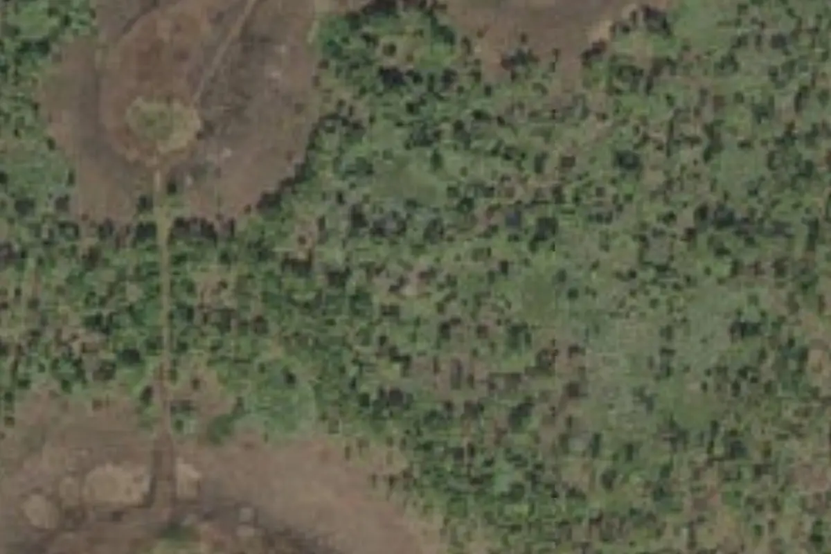 Aerial view of Fta Loop 2 Campsite