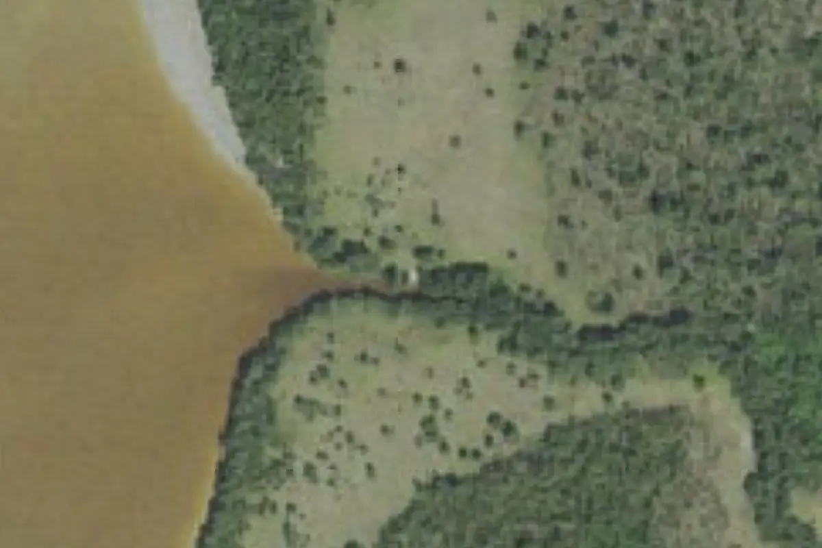 Aerial view of Alligator Creek Campsite