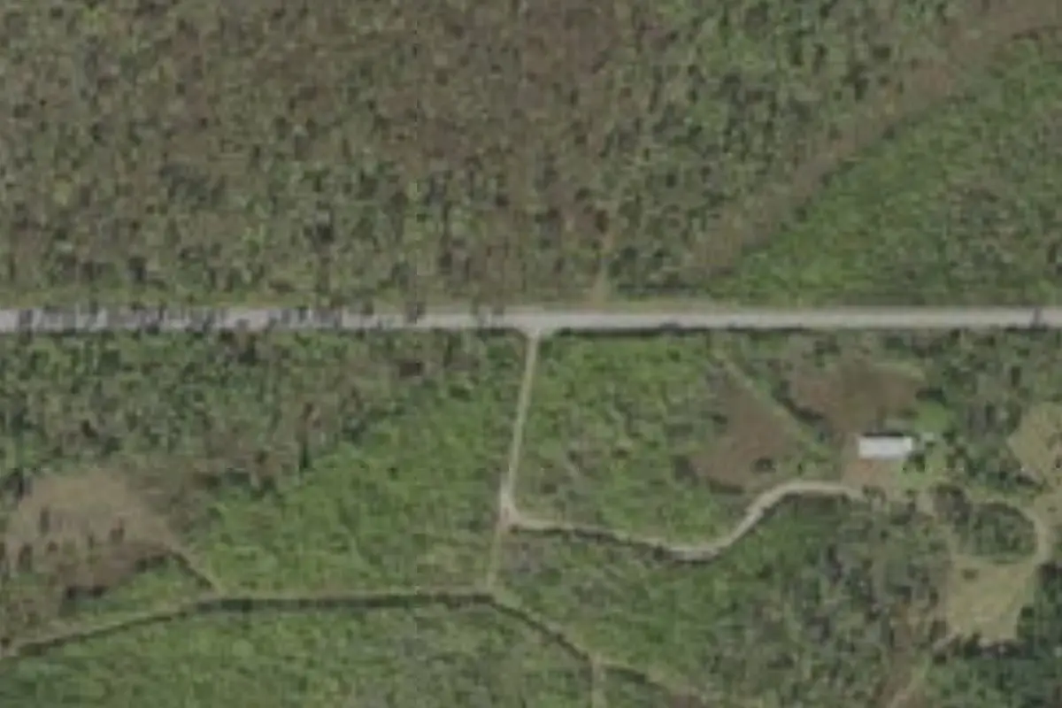 Aerial view of Camp Everglades