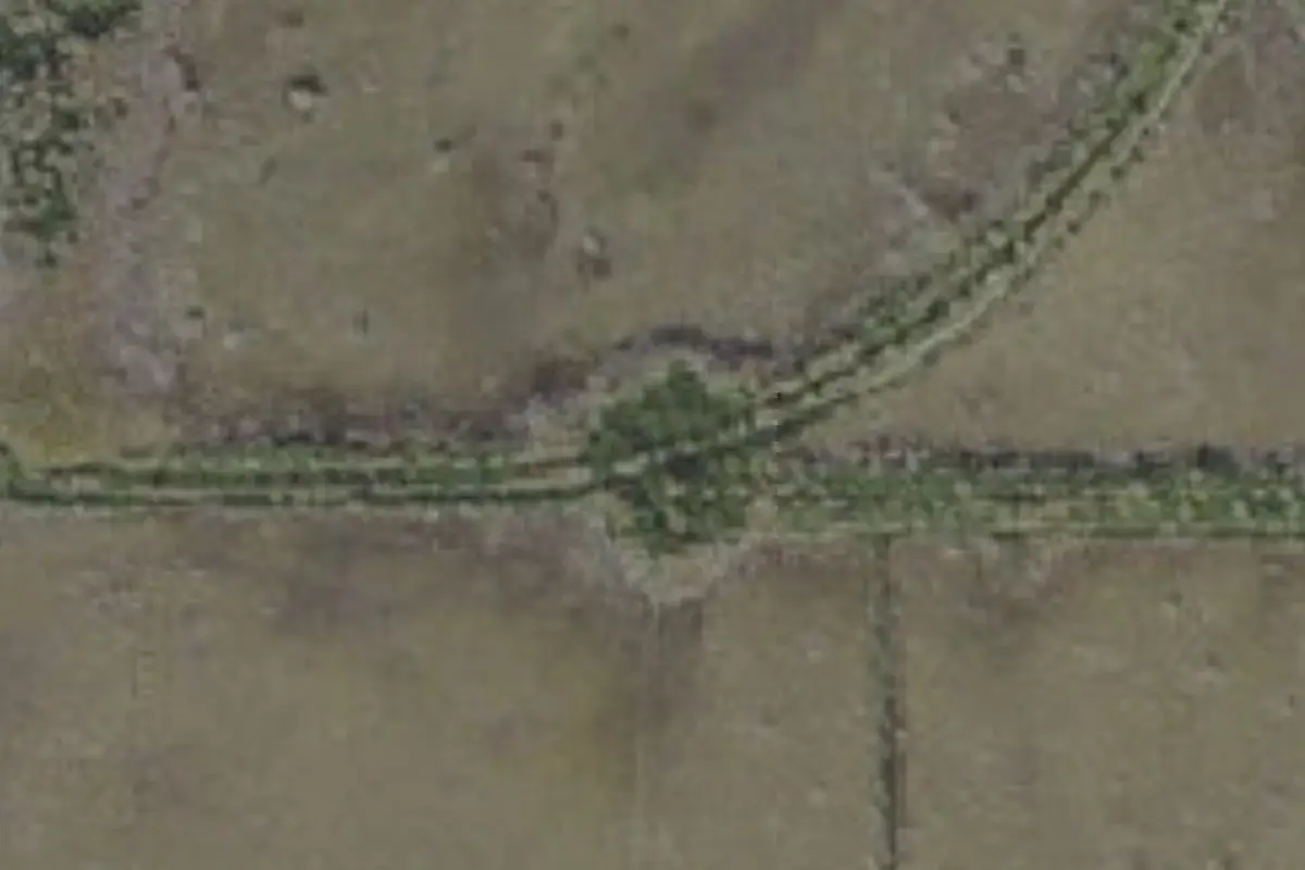 Aerial view of Ernest Coe