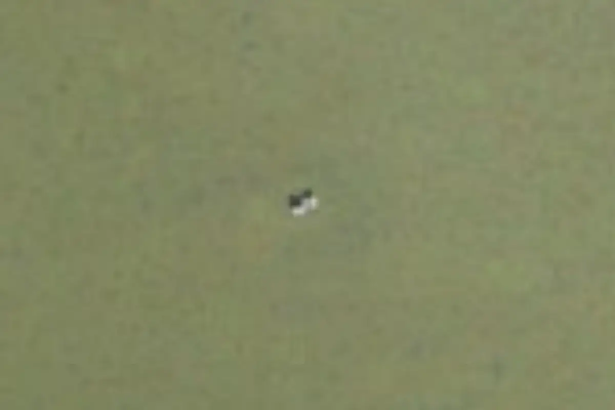 Aerial view of Shark Point Chickee
