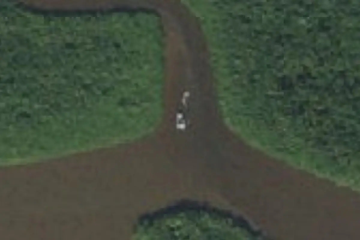 Aerial view of Harney River Chickee