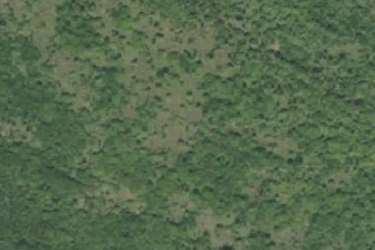 Aerial view of Middle Cape