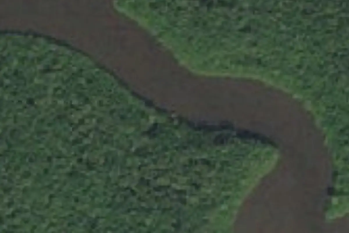 Aerial view of Shark River Chickee