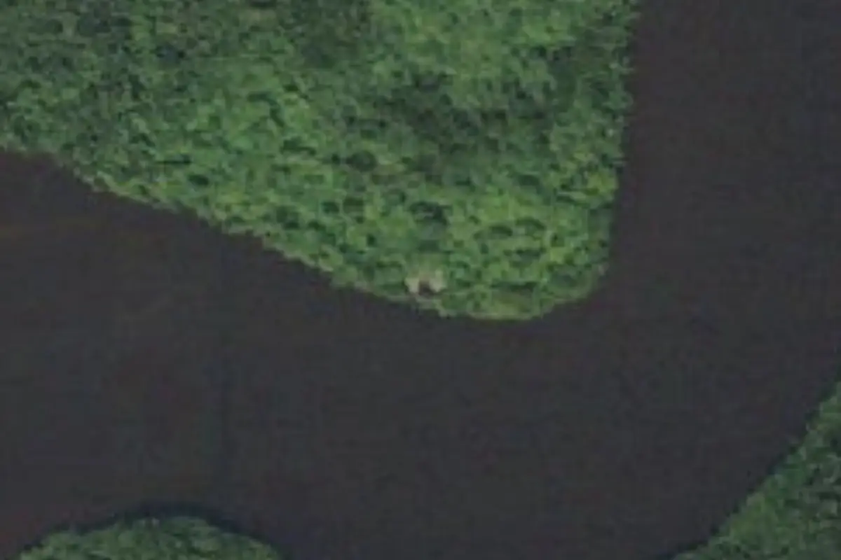 Aerial view of The Watson Place Campsite