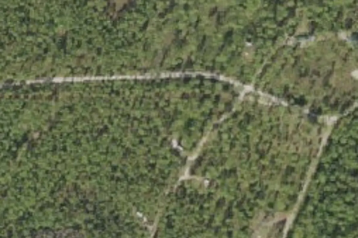 Aerial view of Cary State Forest Campground