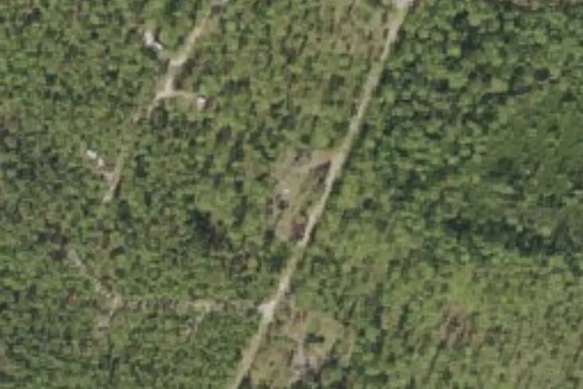 Aerial view of Cary State Forest primitive campsites