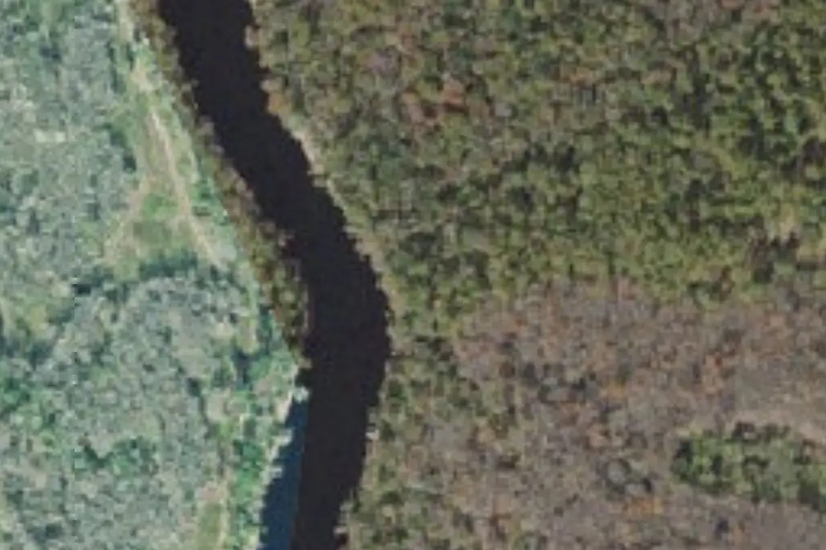 Aerial view of Ralph E. Simmons Memorial State Forest primitive campsites