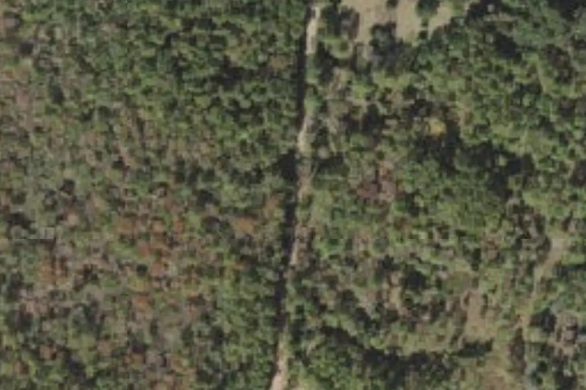 Aerial view of St. Mary's River Campground