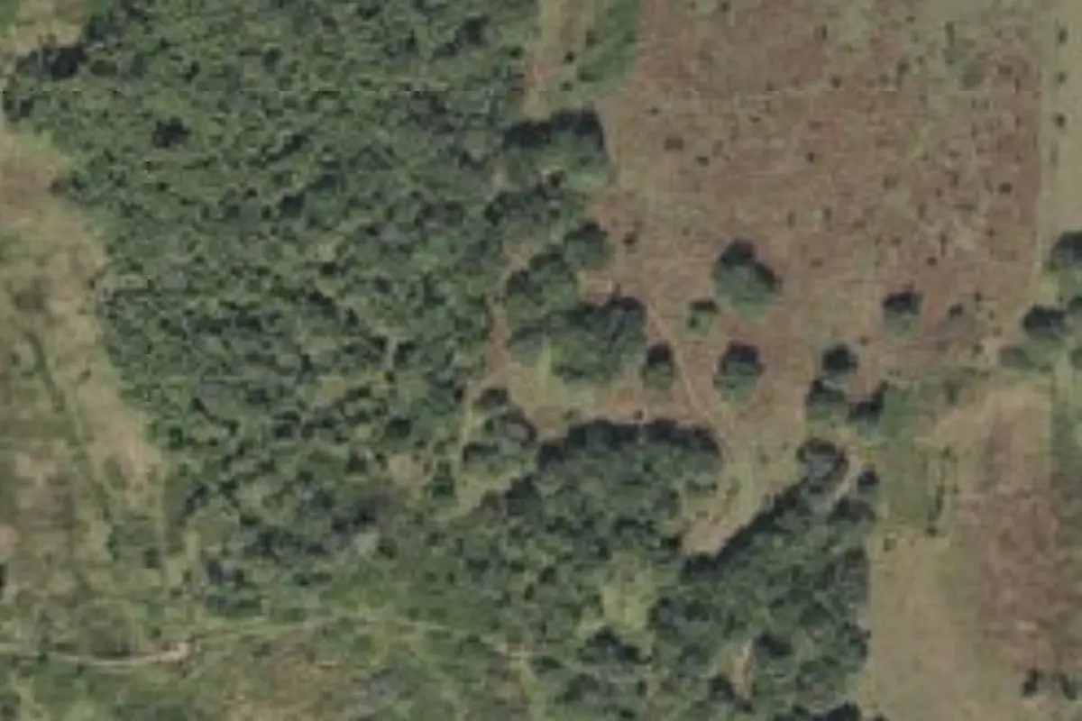 Aerial view of Micco Landing Campsite