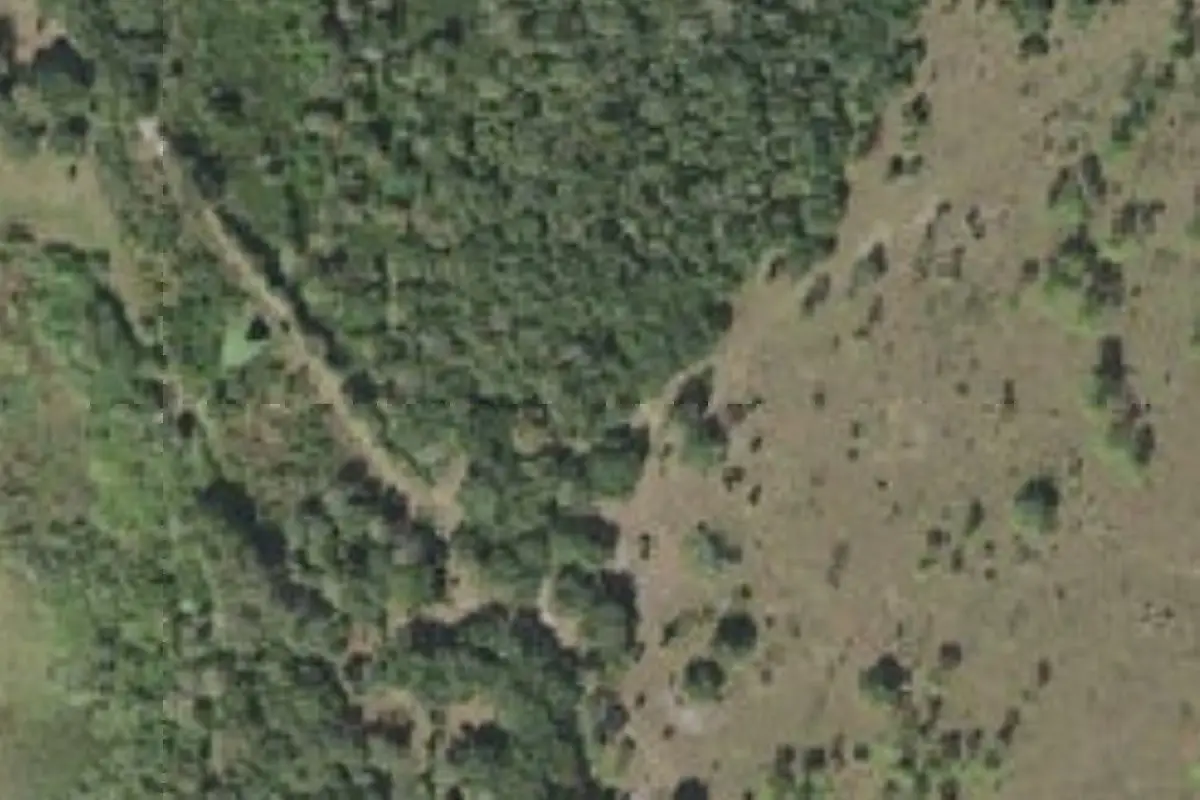 Aerial view of Yates Marsh South Trail Campsite
