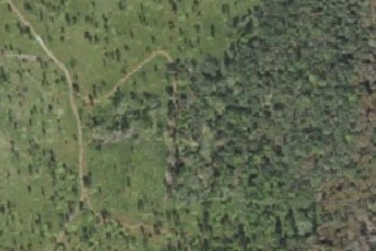 Aerial view of Hal Scott Regional Preserve and Park campsites