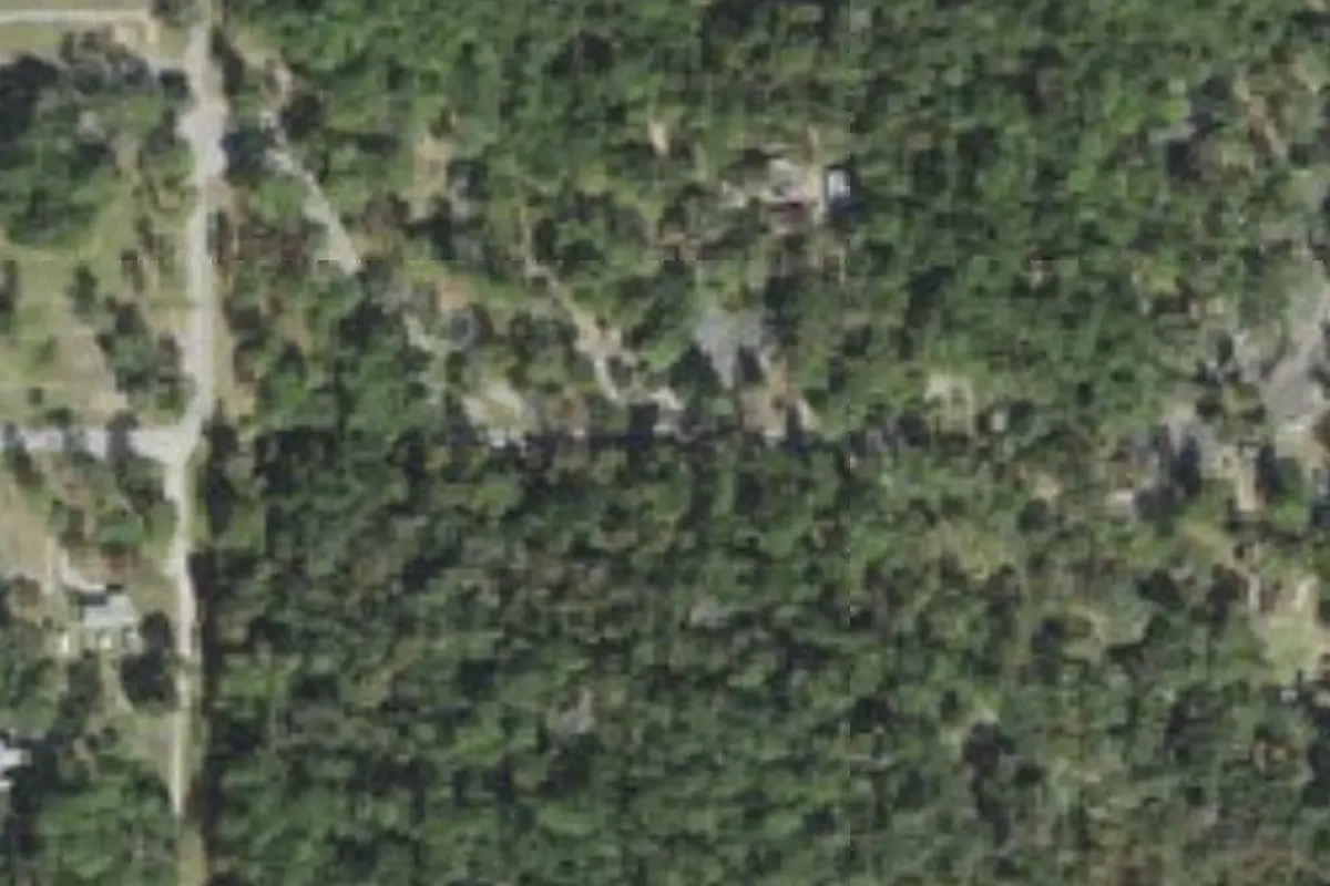 Aerial view of Kelly Park/Rock Springs