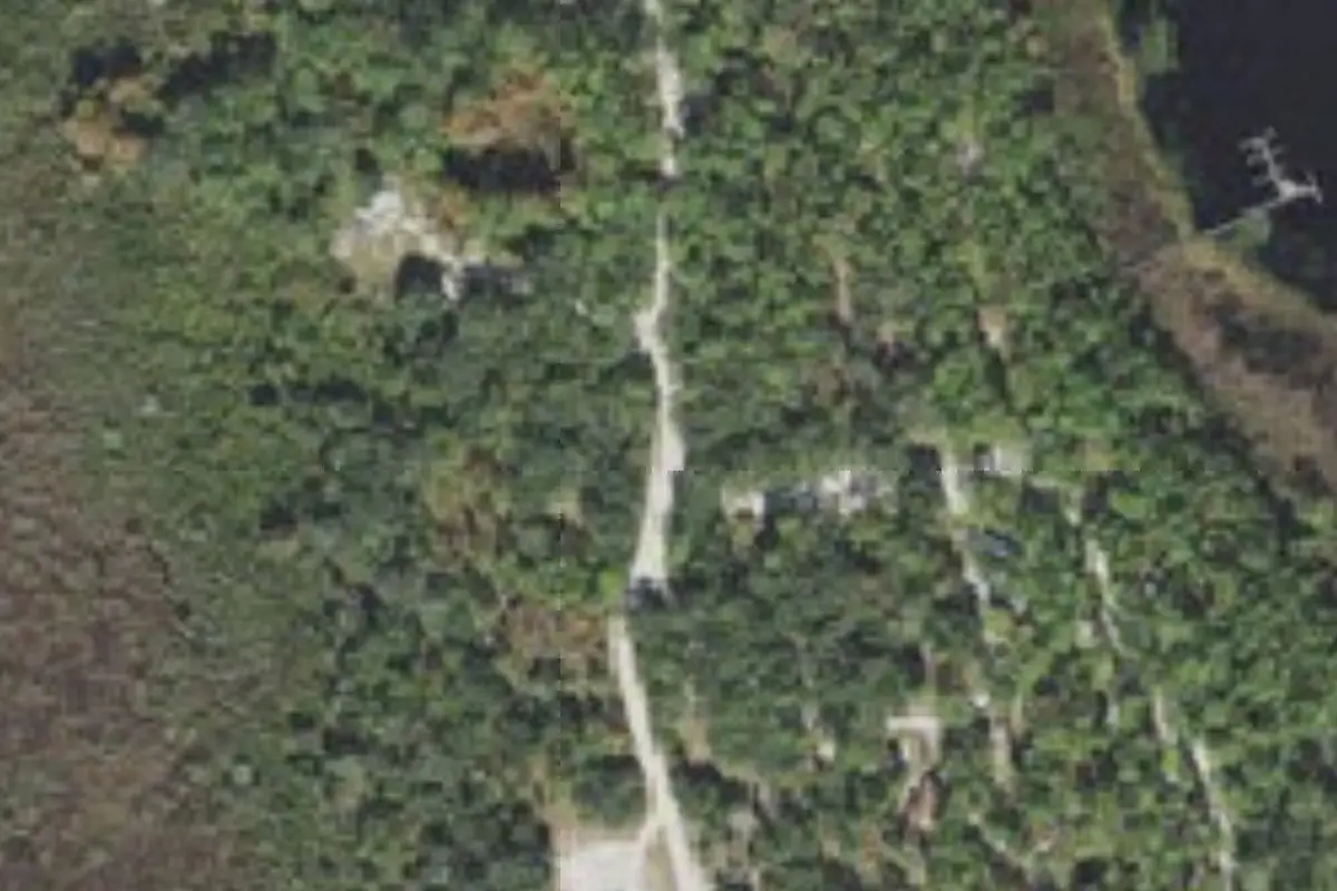 Aerial view of Moss Park