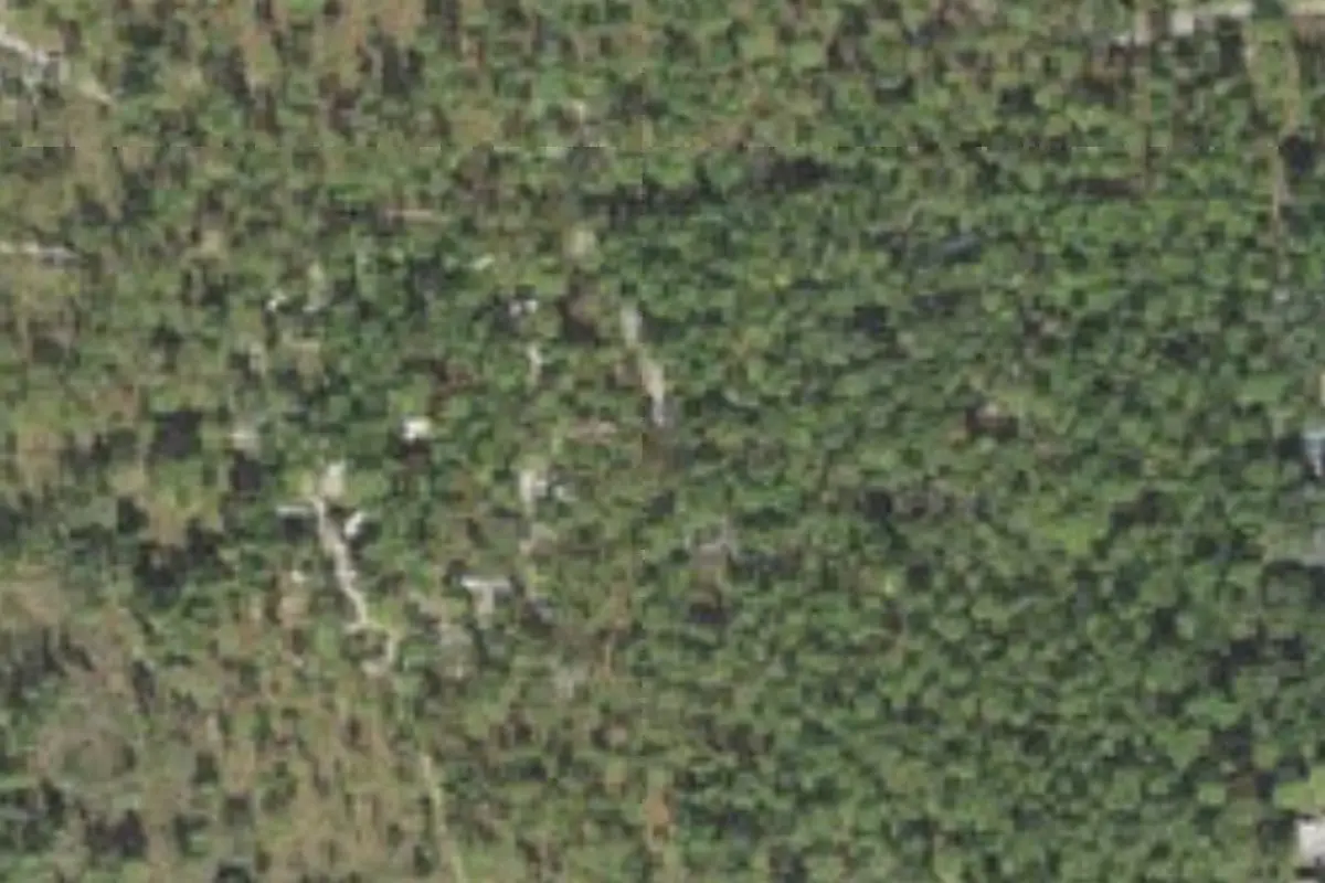 Aerial view of Wekiwa Springs State Park