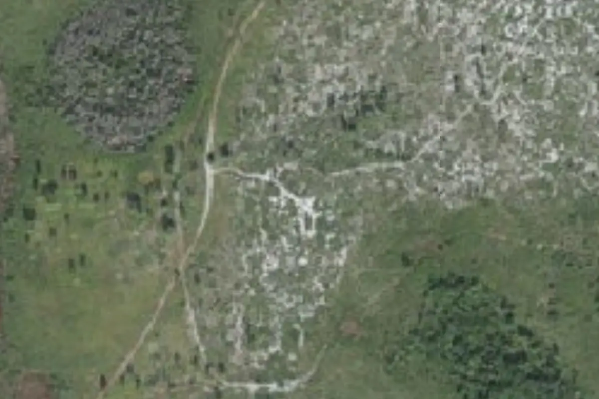 Aerial view of Little Scrub