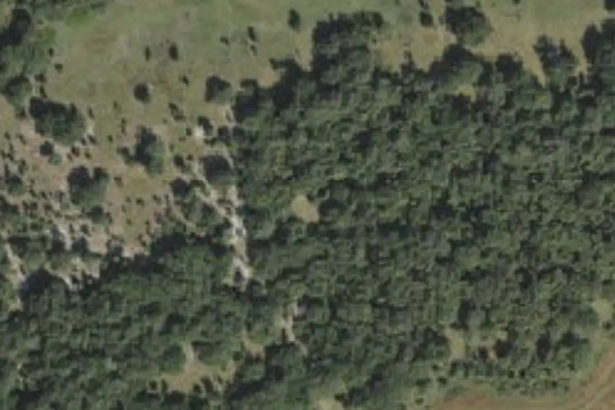 Aerial view of Muffler Hammock