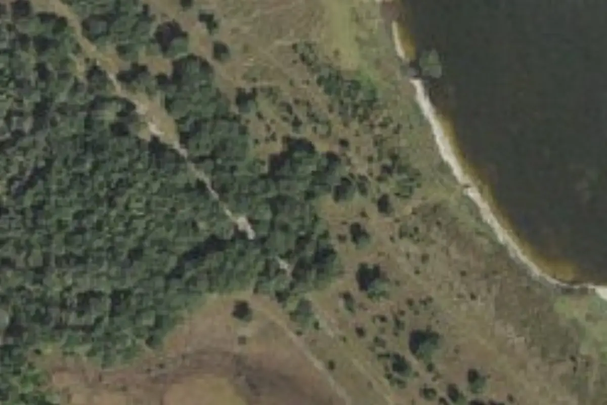 Aerial view of North Cove