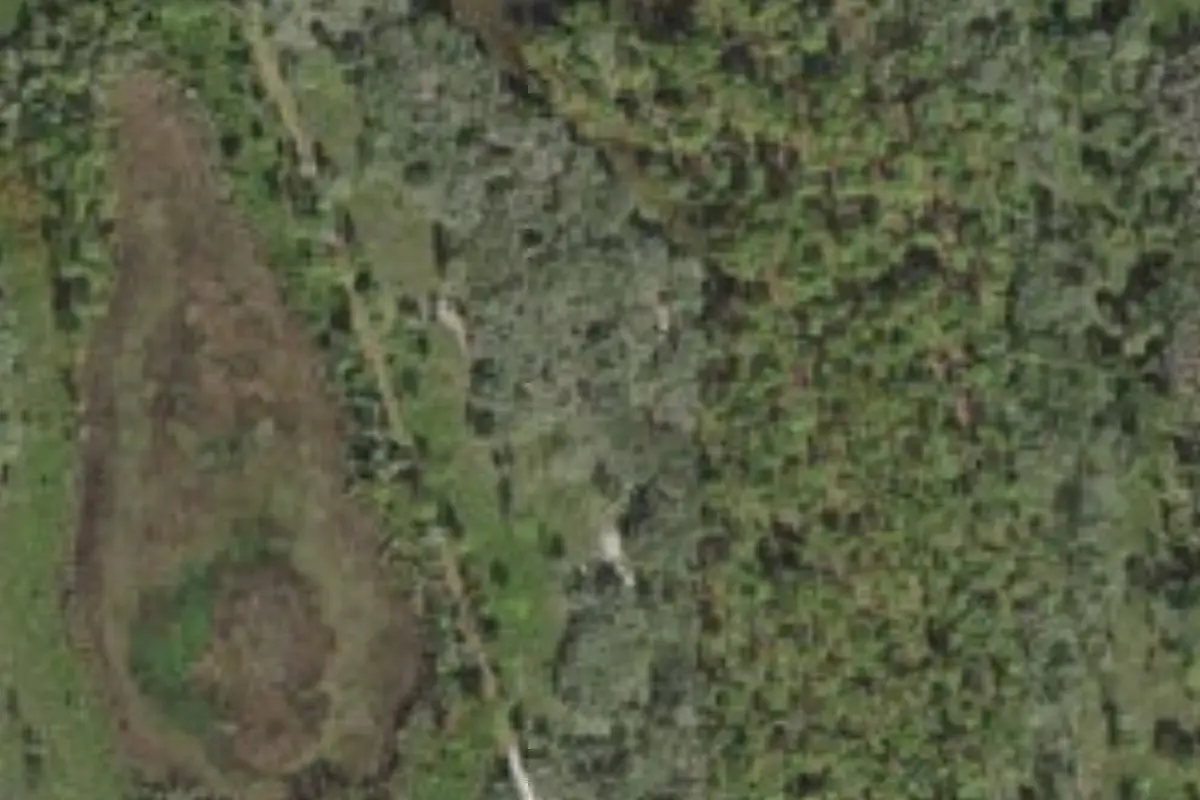 Aerial view of Gator Hole Primative Camp Site