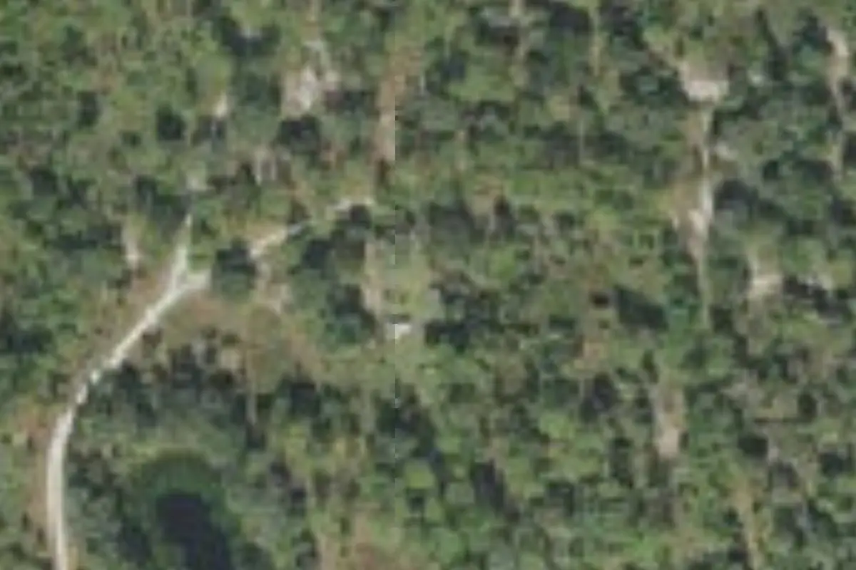 Aerial view of Cypress Creek Preserve (equestrian and primitive campsites)