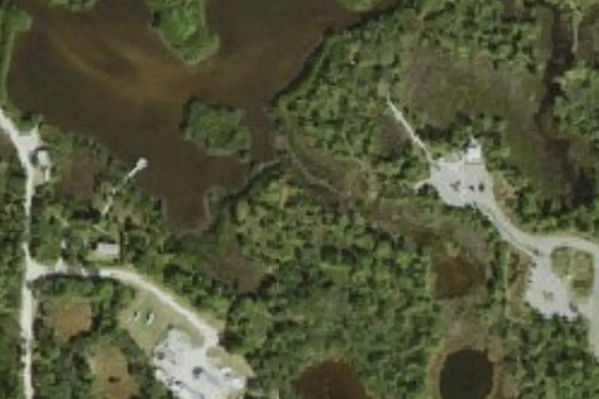 Aerial view of Werner-Boyce Salt Springs State Park