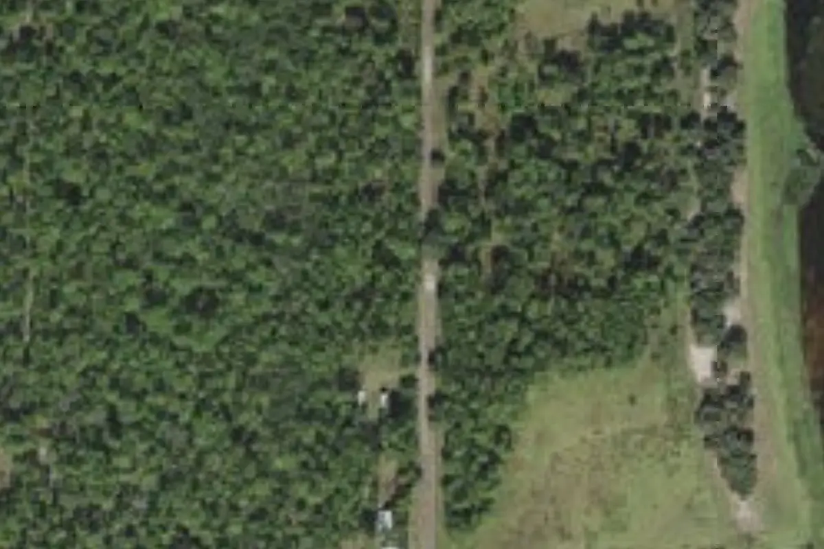 Aerial view of Camp Tiger Fish Camp