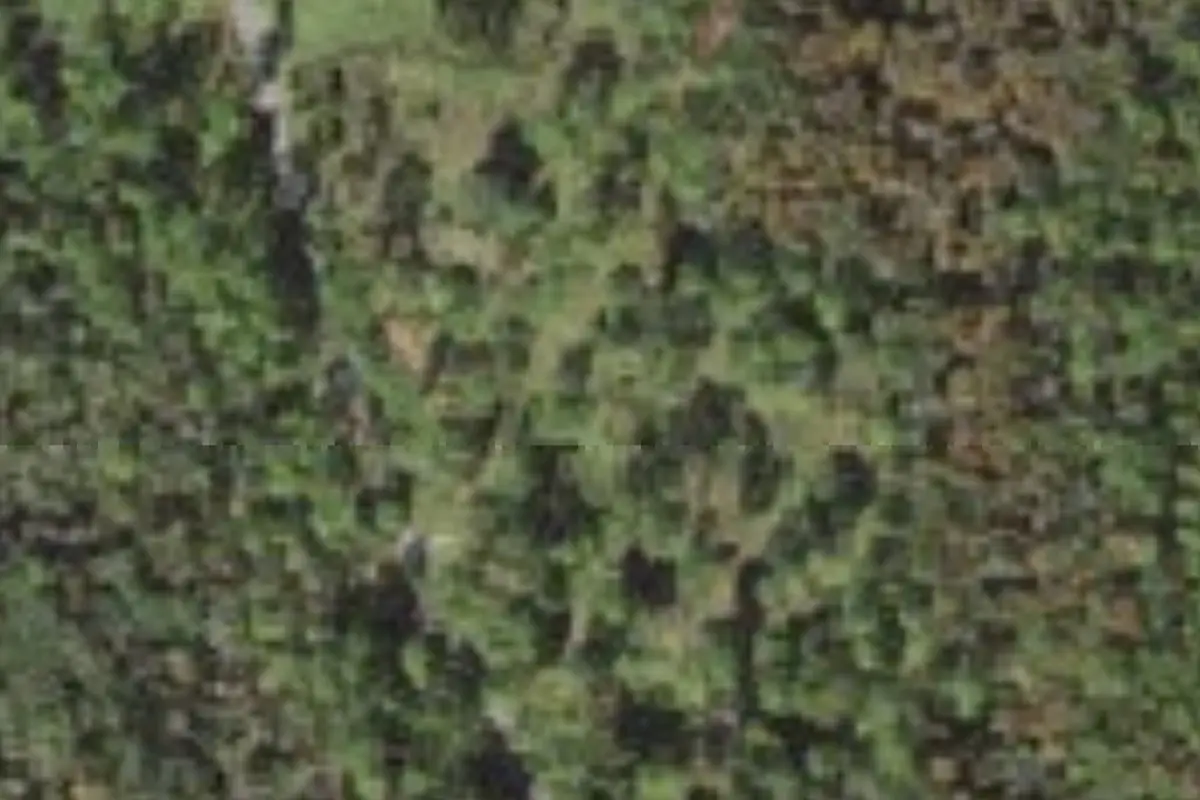 Aerial view of Colt Creek State Park