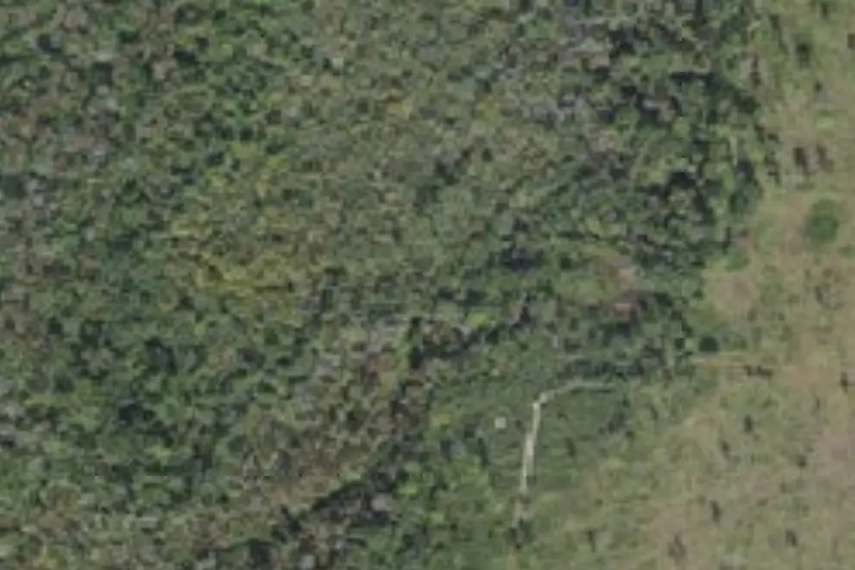 Aerial view of Grave Island Hike_In campsite