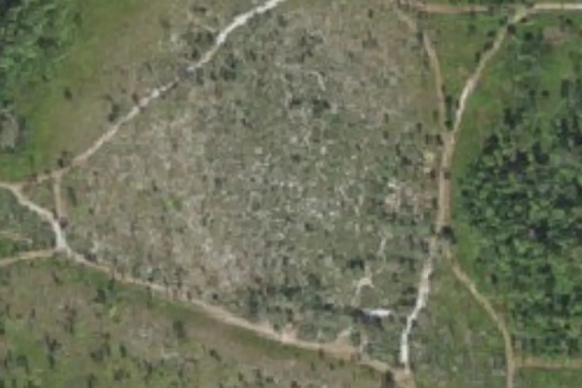 Aerial view of Huckleberry Islands Campsite