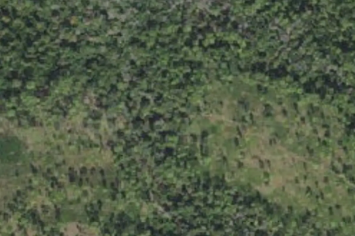 Aerial view of Isabell Hike-In campsite