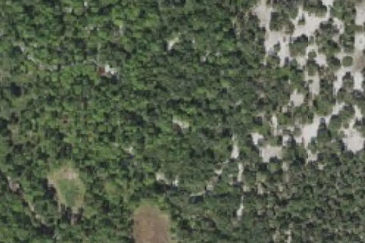 Aerial view of Lake Kissimmee State Park