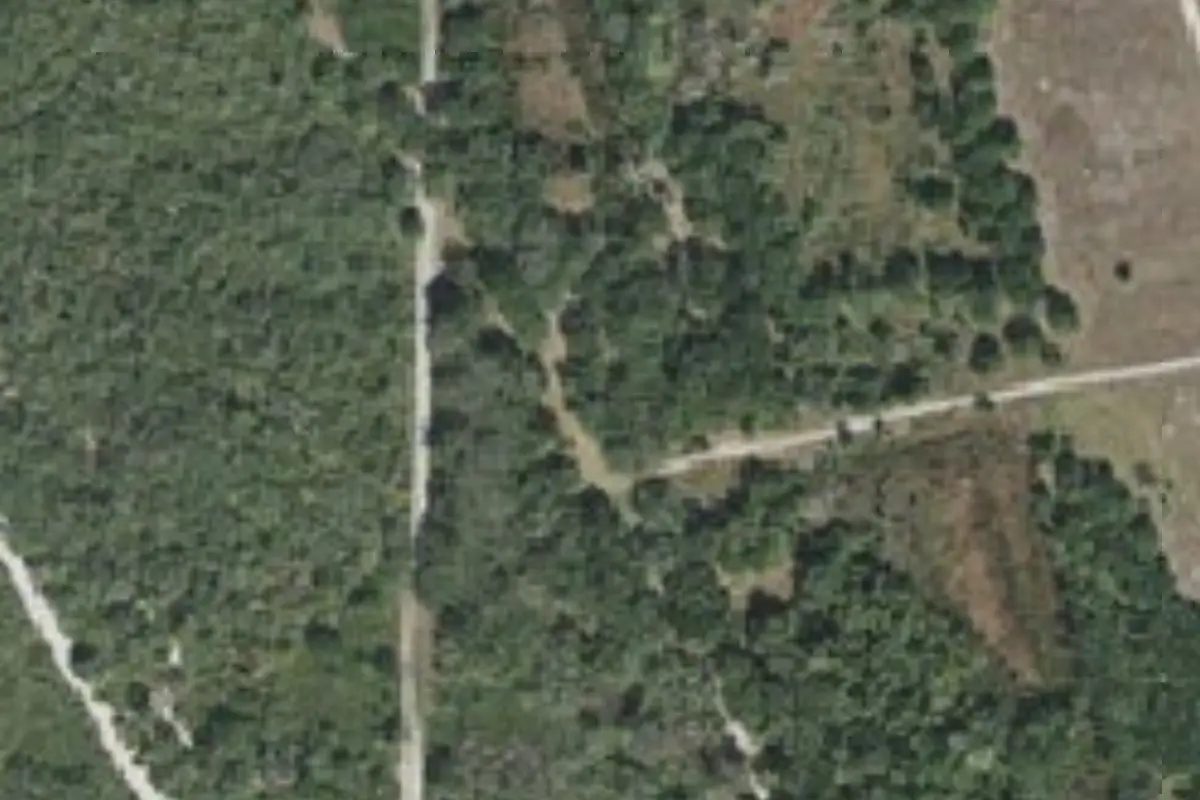 Aerial view of Rattlesnake Hammock Campsite