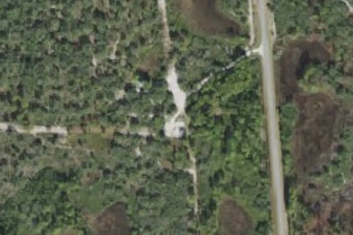 Aerial view of Walk In the Water Campground Lake Wales Ridge State Forest