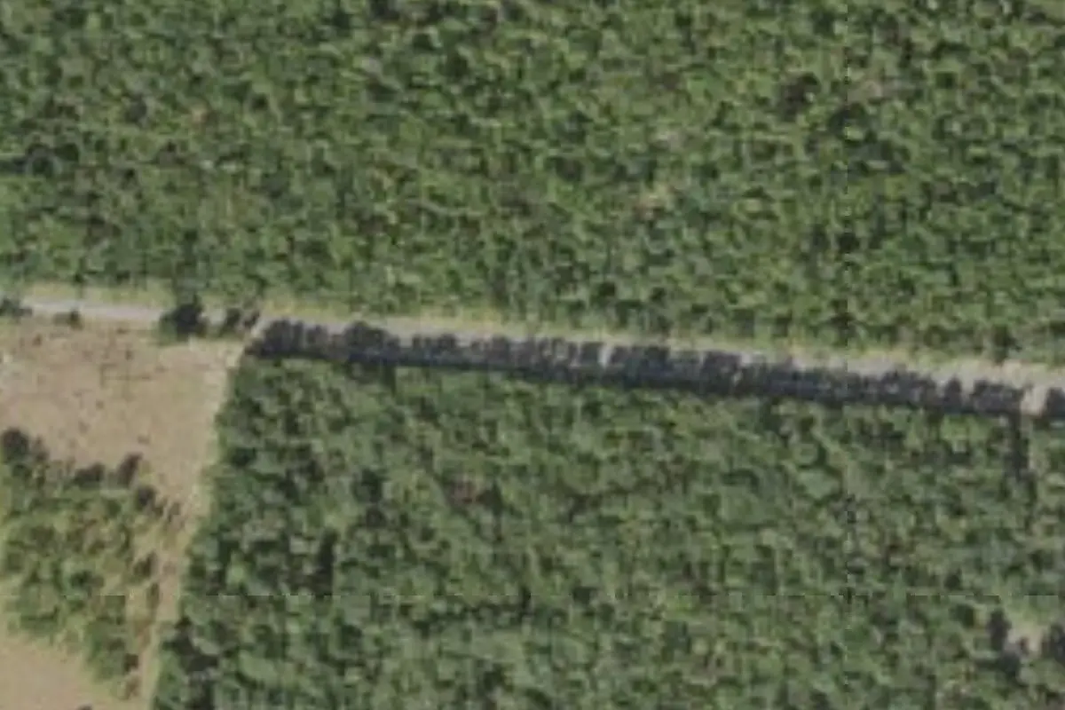 Aerial view of Camp Shands (Baden-Powell Scout Reservation)