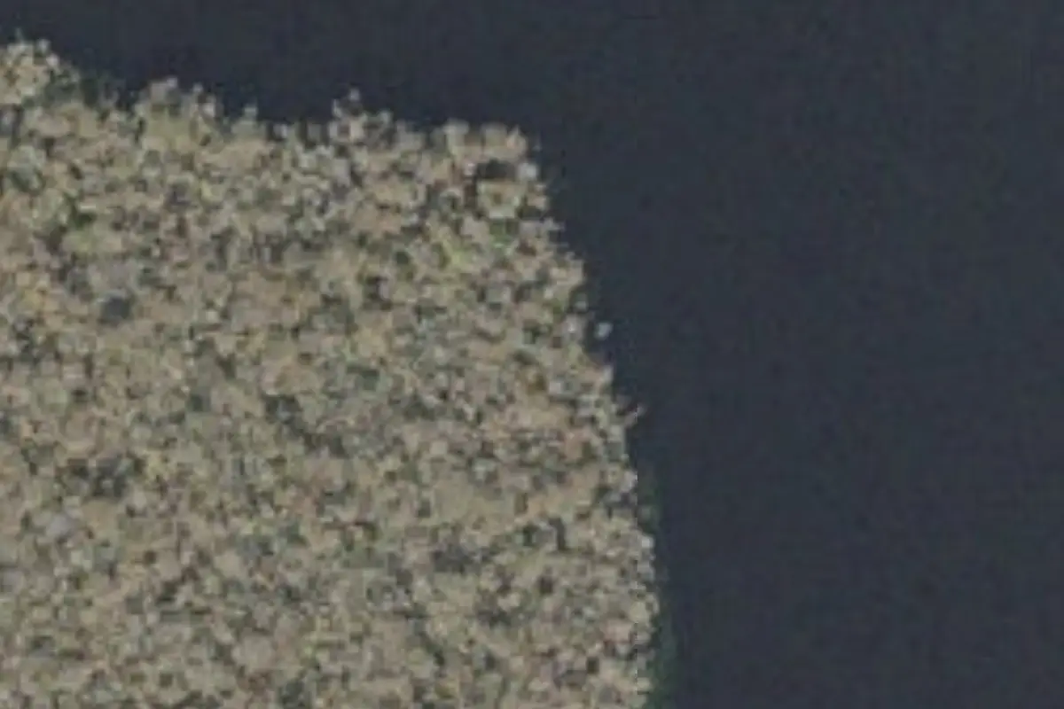 Aerial view of Caravelle Ranch Wildlife Management Area campsites