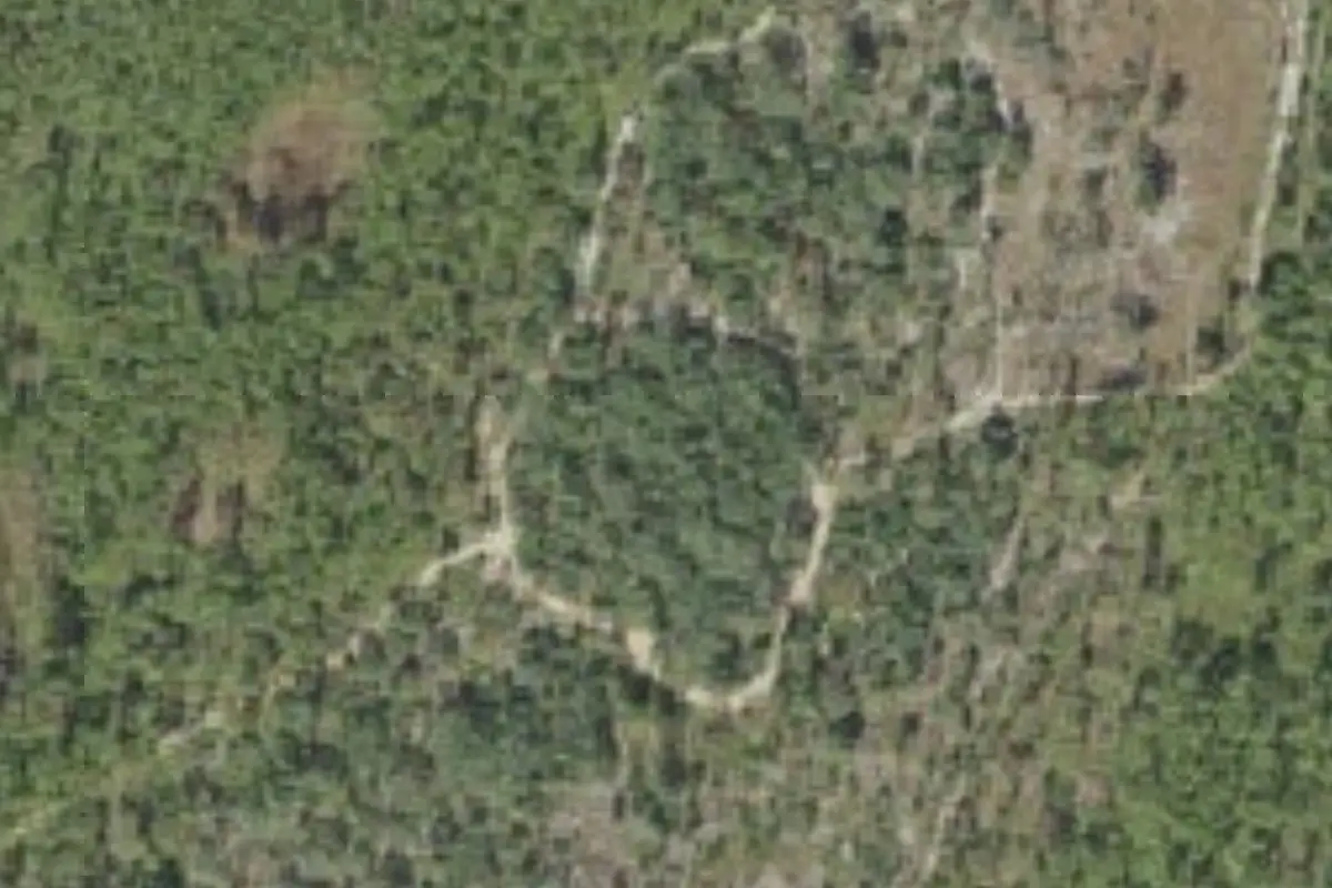 Aerial view of Etoniah Creek State Forest primitive campsites