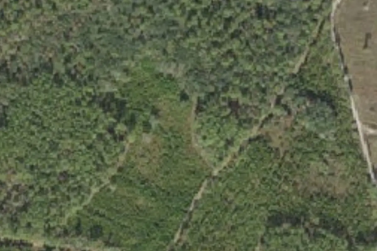 Aerial view of Rice Creek Conservation Area campsites