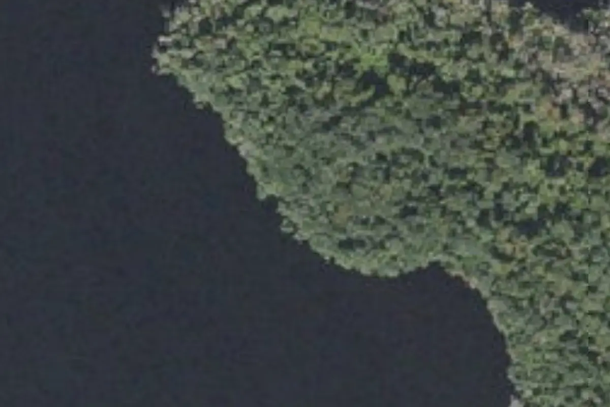 Aerial view of Welaka State Forest primitive campsites