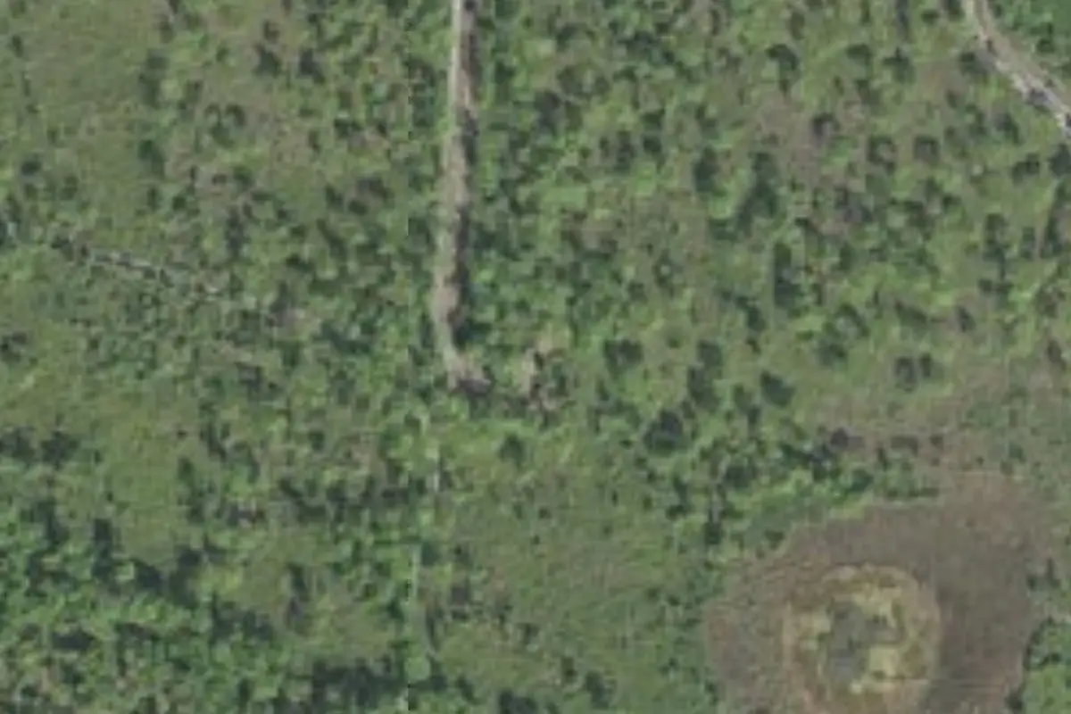 Aerial view of Myakka State Forest primitive campsites