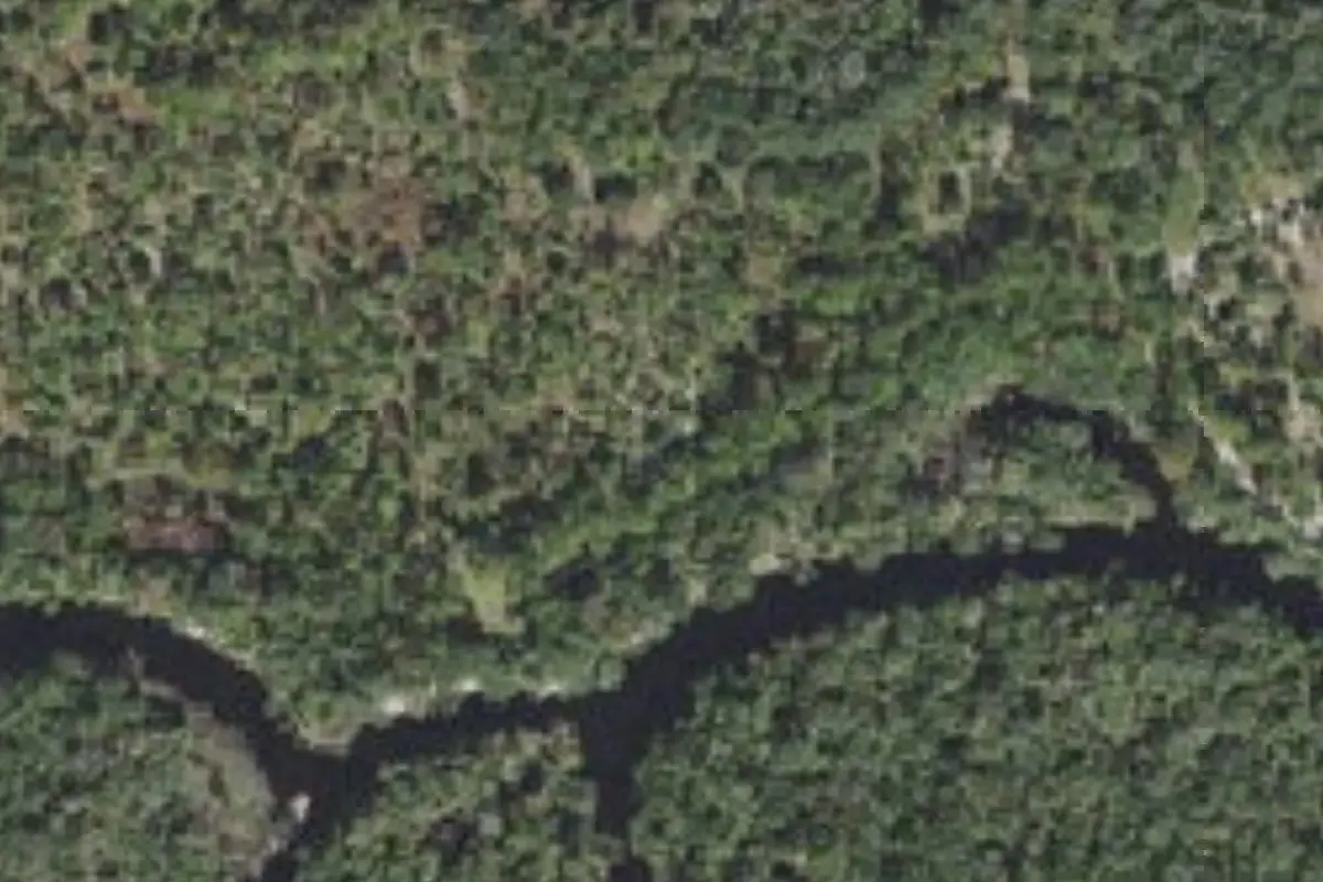 Aerial view of Little Big Econ State Forest primitive campsites