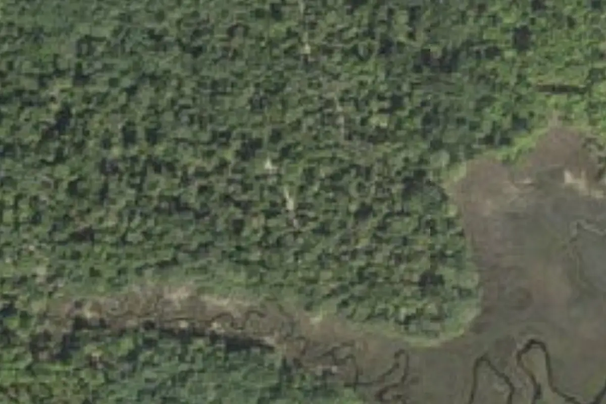 Aerial view of Matanzas State Forest Cedar Creek Campground