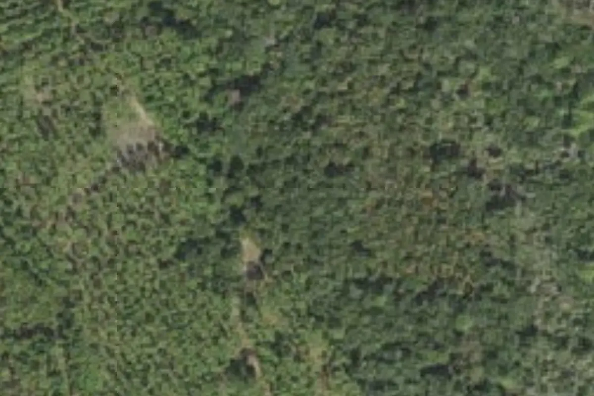Aerial view of Matanzas State Forest primitive campsites