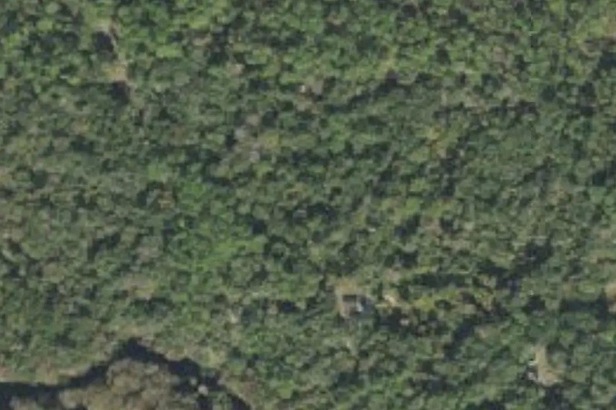 Aerial view of Hog Island Campground, Withlacoochee State Forest