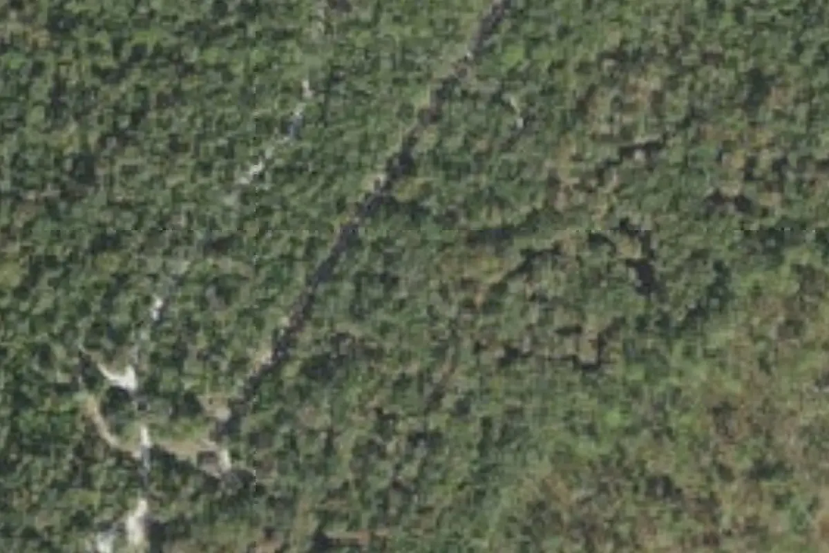 Aerial view of River Junction Campground, Withlacoochee State Forest