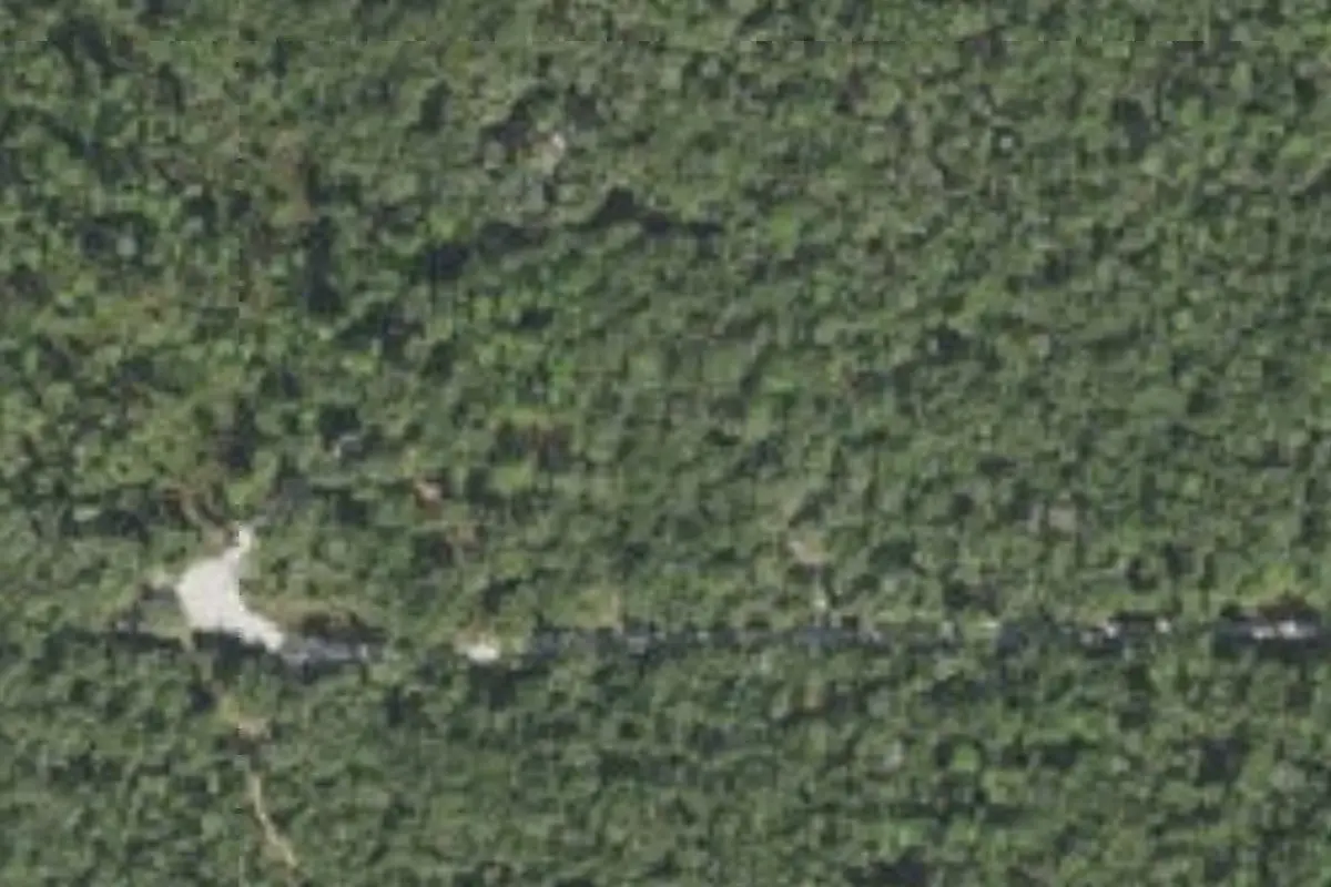 Aerial view of Withlacoochee State Forest primitive campsites