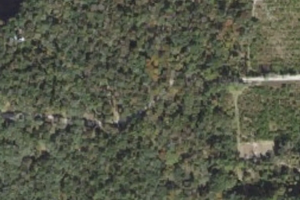 Aerial view of Suwannee River Cove