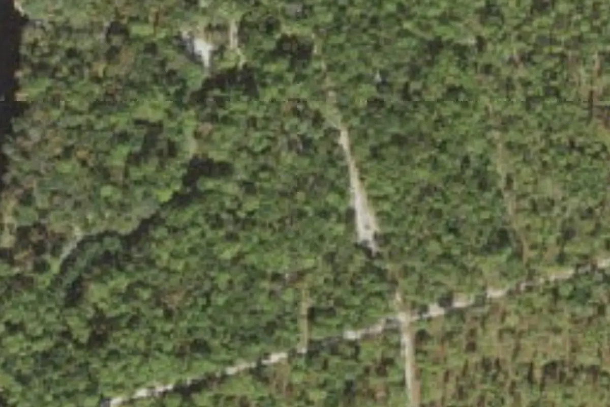Aerial view of Suwannee River State Park