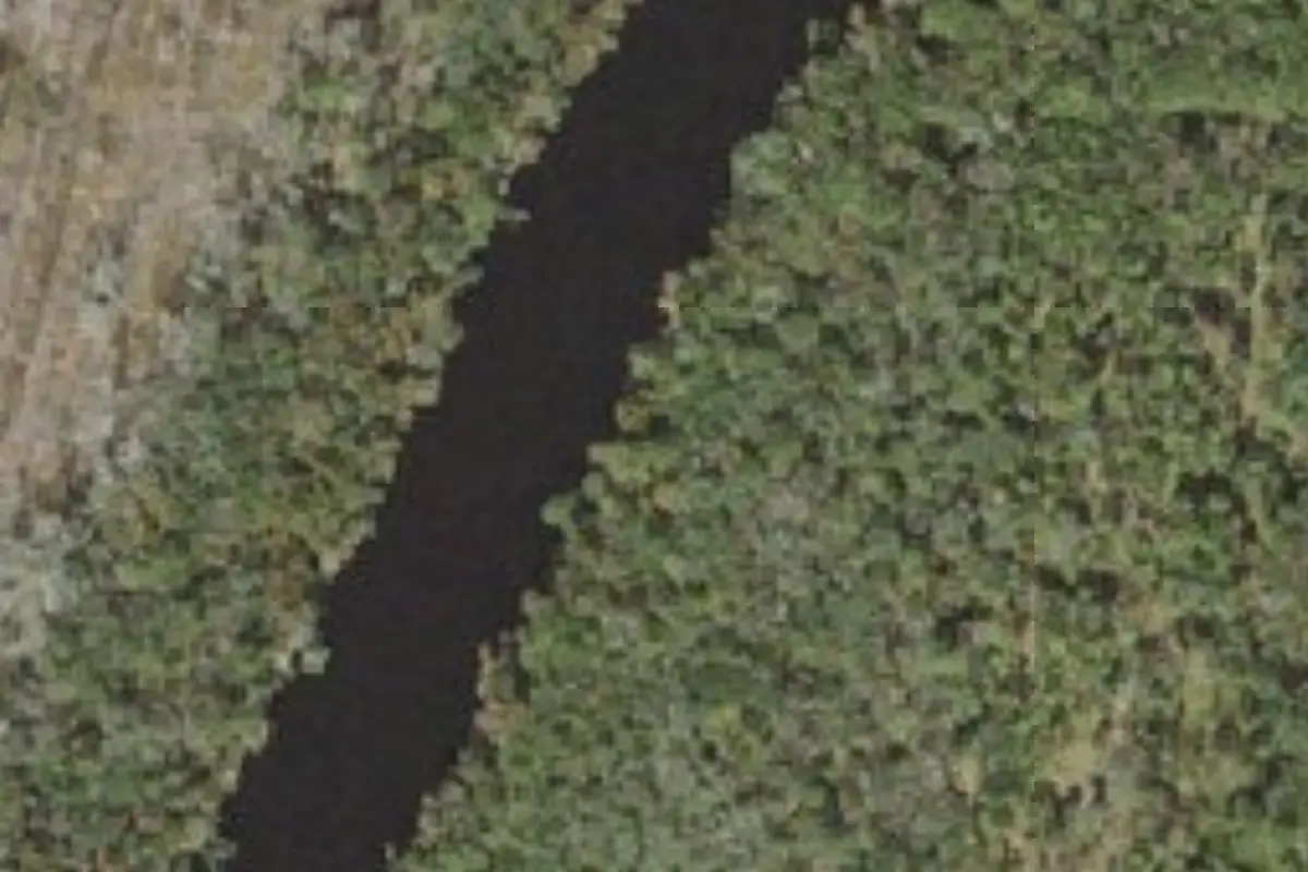 Aerial view of Twin Rivers State Forest primitive campsites